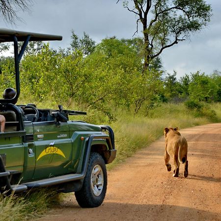 Kruger Safari Lodge Riserva di Caccia Manyeleti Esterno foto