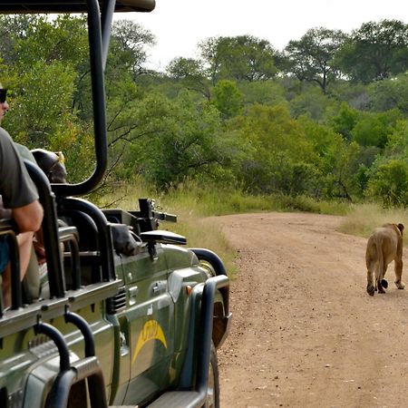 Kruger Safari Lodge Riserva di Caccia Manyeleti Esterno foto