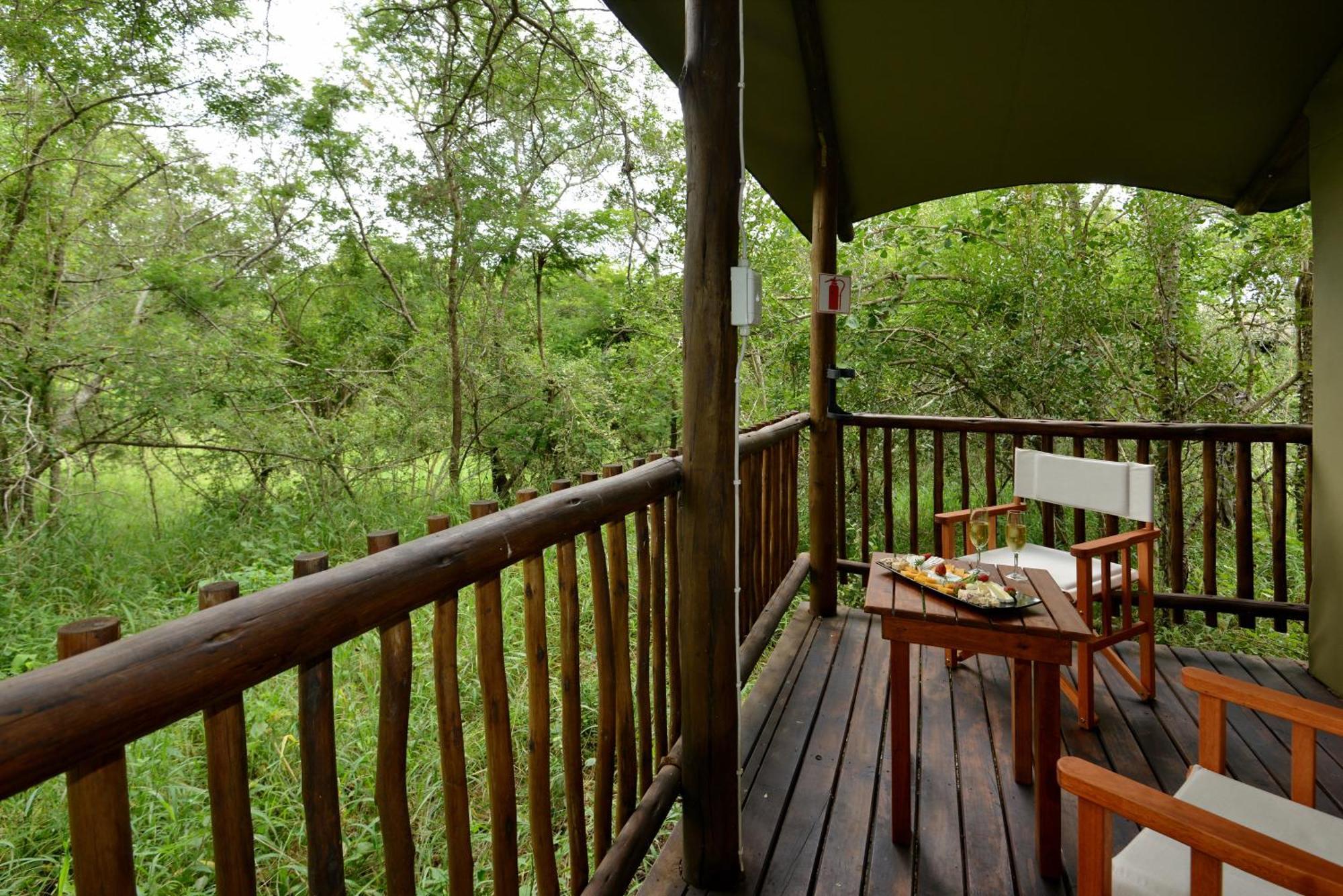 Kruger Safari Lodge Riserva di Caccia Manyeleti Esterno foto