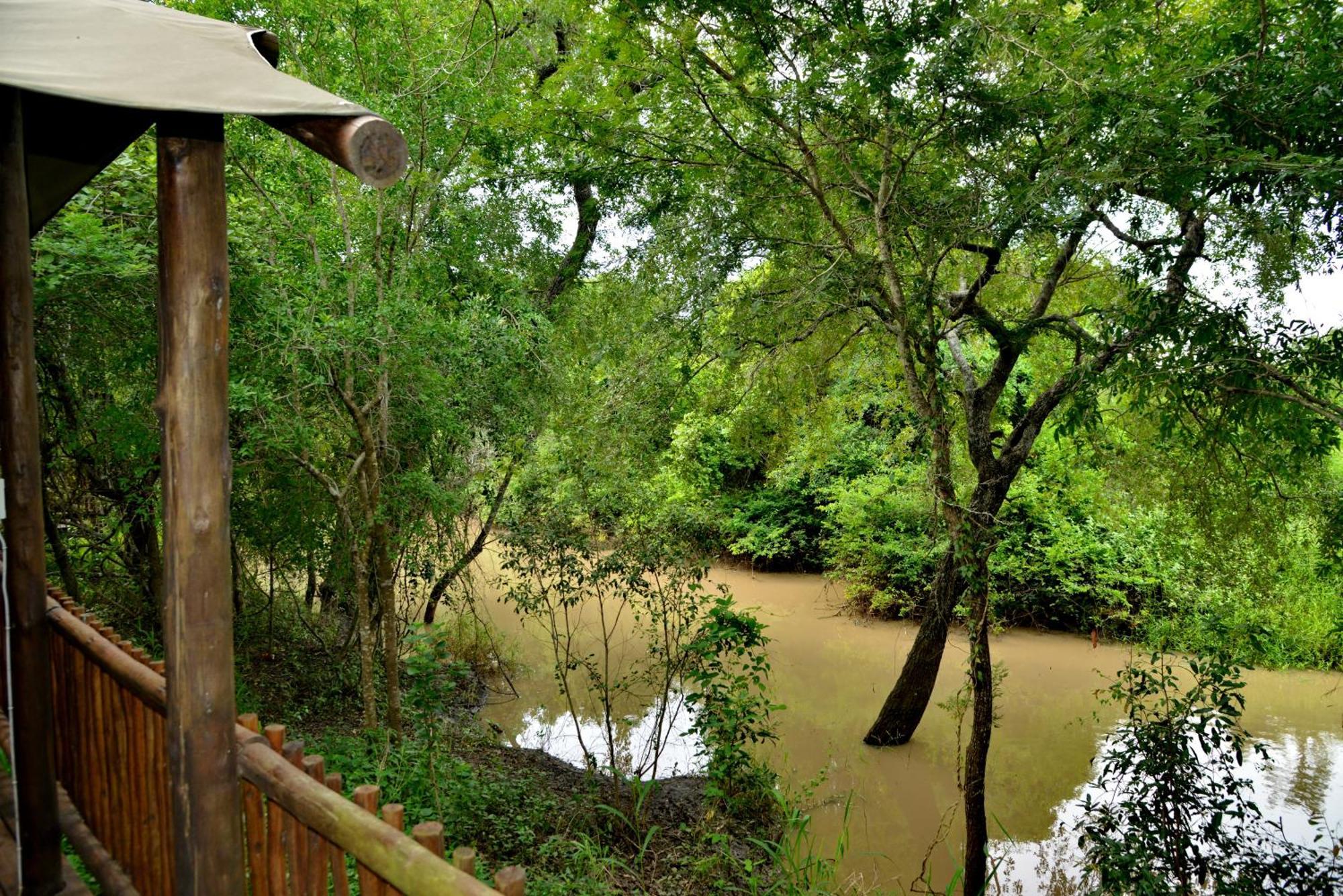 Kruger Safari Lodge Riserva di Caccia Manyeleti Esterno foto