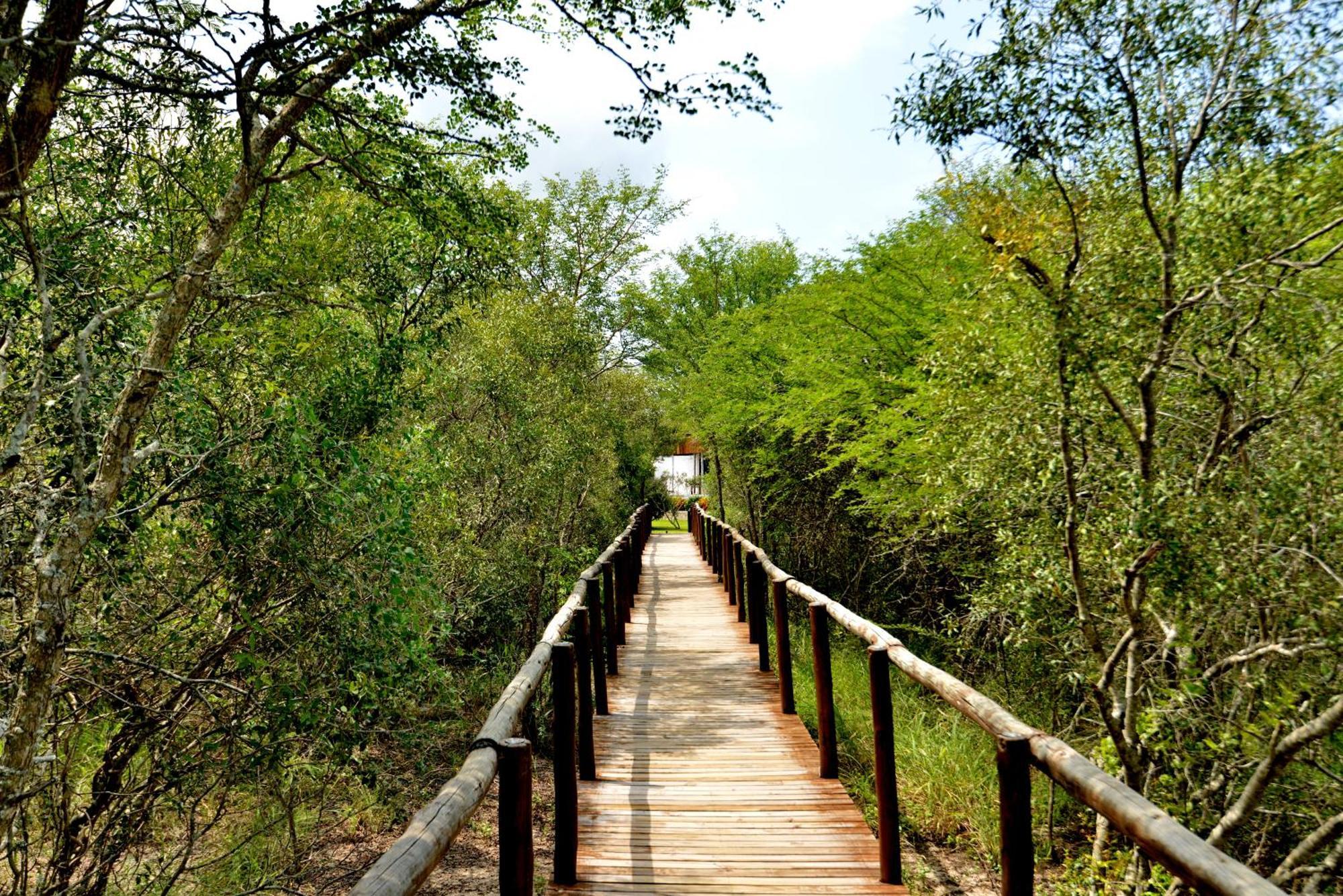 Kruger Safari Lodge Riserva di Caccia Manyeleti Esterno foto