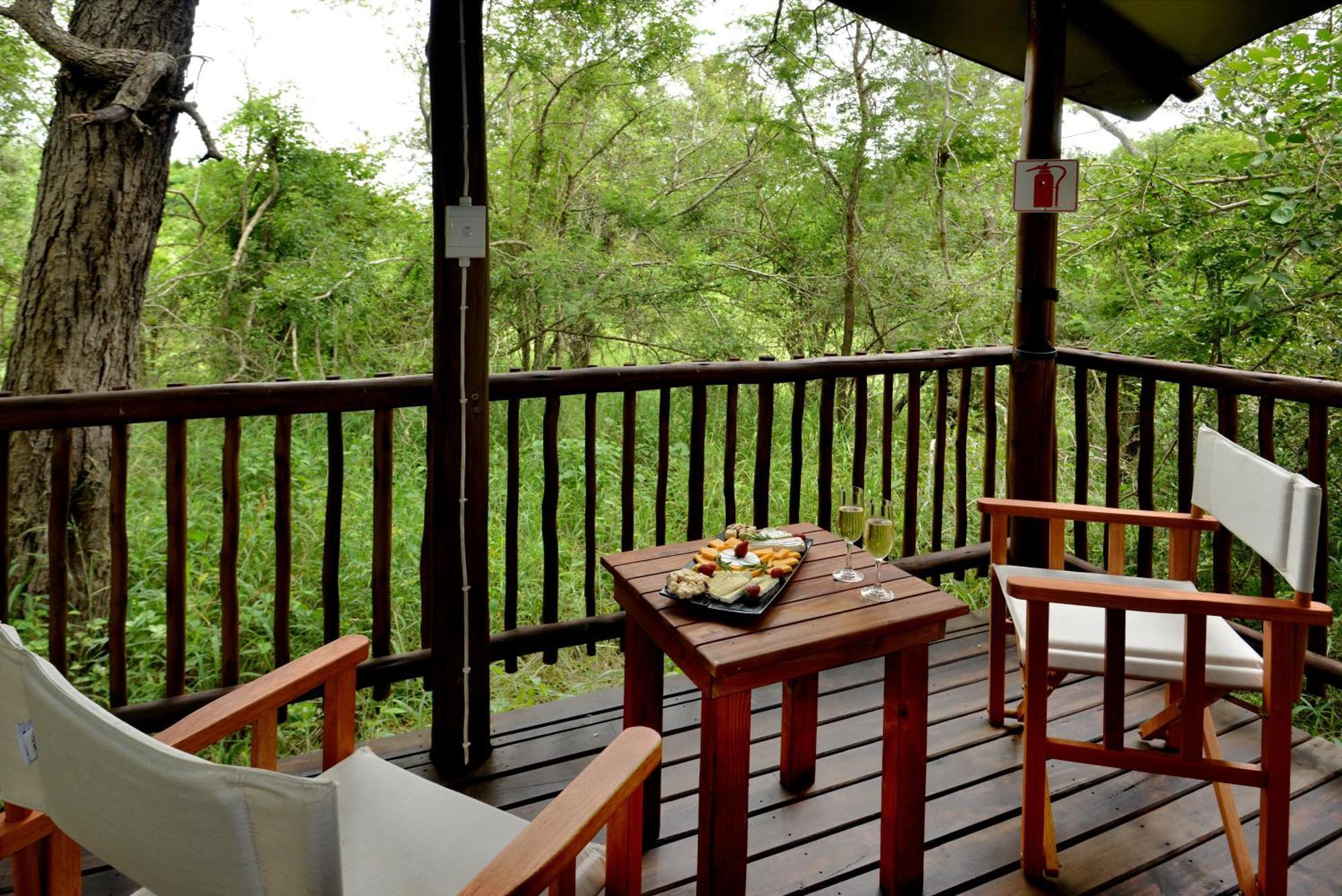 Kruger Safari Lodge Riserva di Caccia Manyeleti Esterno foto