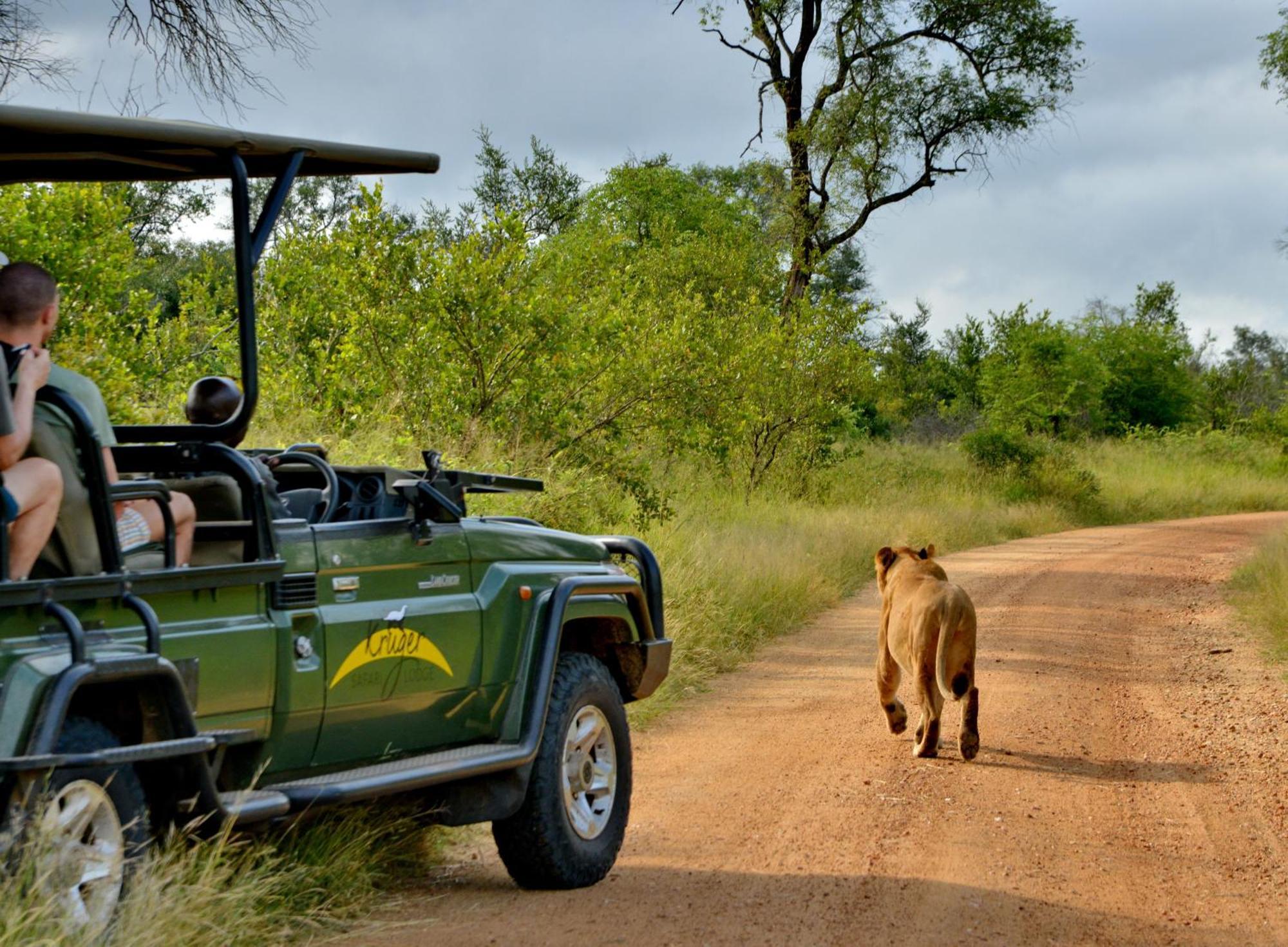 Kruger Safari Lodge Riserva di Caccia Manyeleti Esterno foto