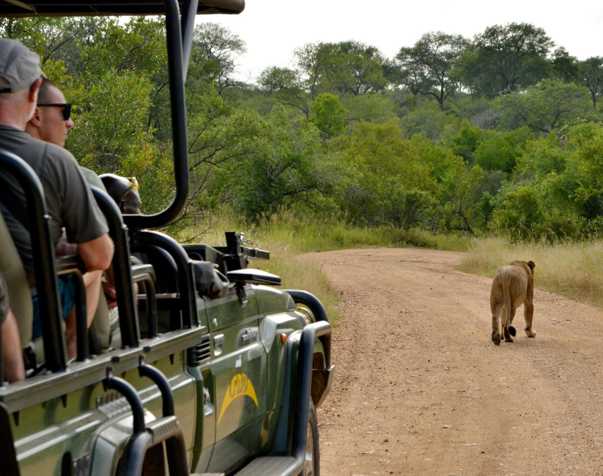 Kruger Safari Lodge Riserva di Caccia Manyeleti Esterno foto